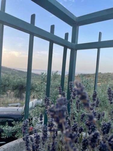Apartamento Vista Vasto