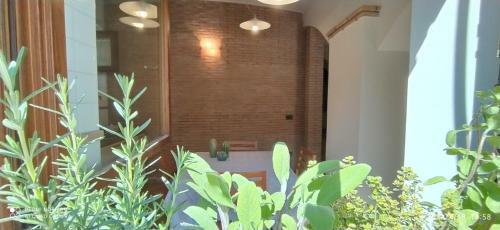 Apartamento La Puteka Short Rent Nel Cuore Di Vasto