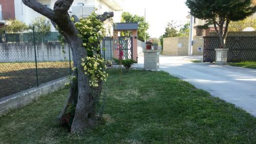 Bed & Breakfast Via Dei Cascella 16