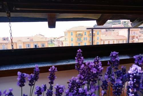 Apartamento A-mare Citra 008065-lt-0292