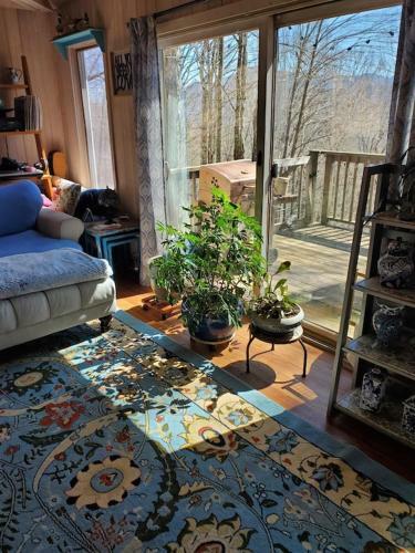 Treehouse Cathedral In Blue Ridge Mountains, Nc