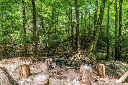 Twin Creeks Cabin
