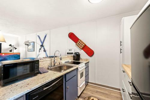 1br 1ba Mountain Holiday Ski Chalet