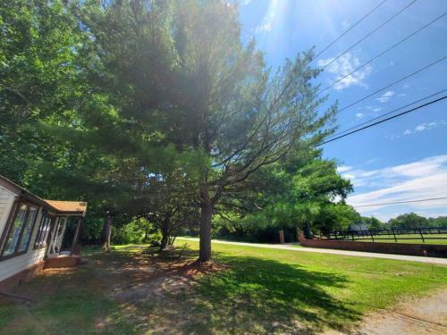 Legacy Cottage... A Place To Unwind And Unplug!
