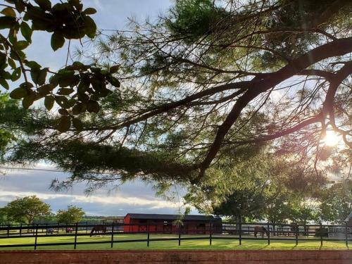 Legacy Cottage... A Place To Unwind And Unplug!