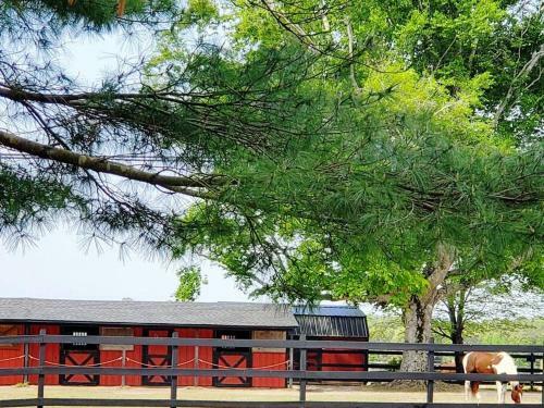 Legacy Cottage... A Place To Unwind And Unplug!