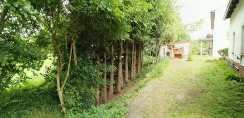 Gem�tliches Ferienhaus An Der Schilde