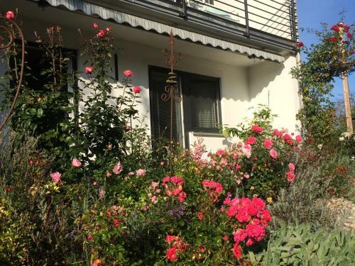 Apartamento Stilvolles Studio Im Allg�u