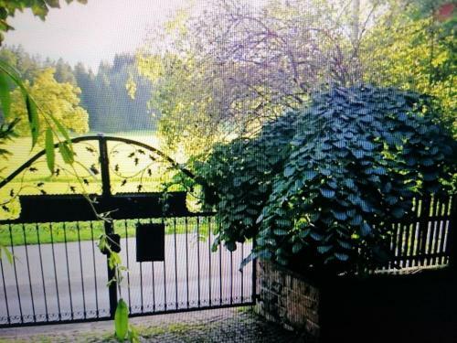 Apartamento Wohnung A