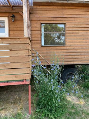 Hostal Bauwagen Mit Gemeinschaftsbad