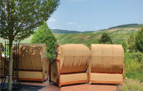 Awesome Home In Riol An Der Mosel W/ 2 Bedrooms