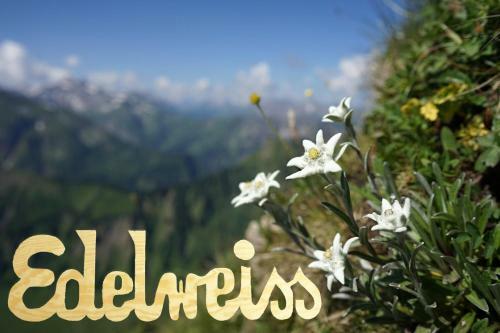 Apartamento Edelweiss - Bayerischer Hof