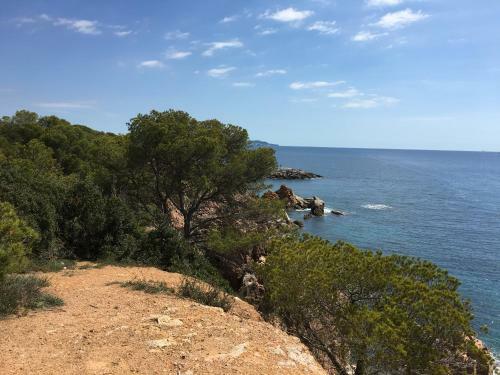 Apartamento Punta Prima
