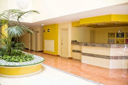 Sunset Apartment, Puerto Santiago
