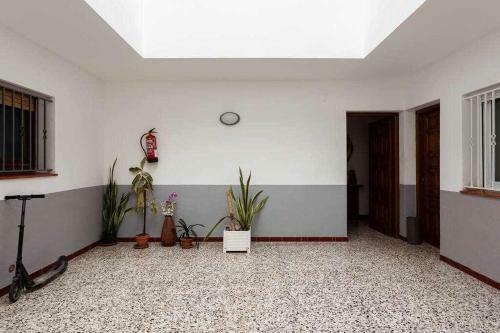 Apartamento Con Gran Terraza En Empuriabrava