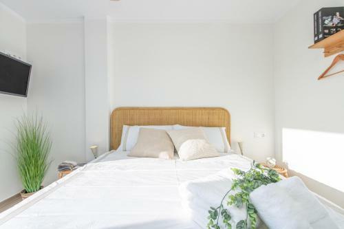 Apartamento Welcs Con Terraza