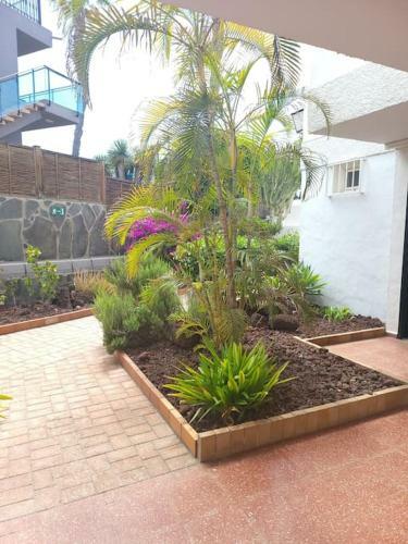 Apartamento Beach Lovers Home From Home In Sunny Gran Canaria
