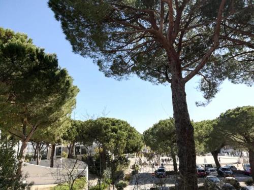 Apartamento R�sidence Le Cormoran - Studio Pour 3 Personnes 464