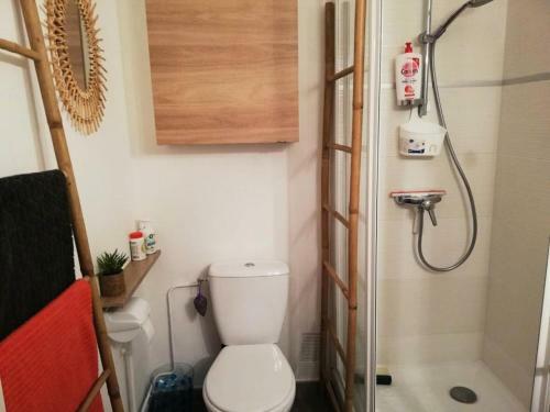 Apartamento R�sidence Le Cormoran - Studio Pour 3 Personnes 464
