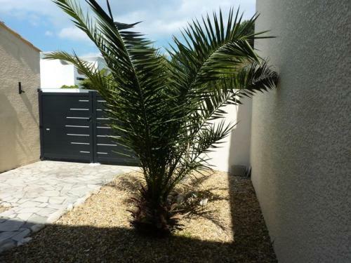 R�sidence -la Grande Motte - Maisons & Villas 324