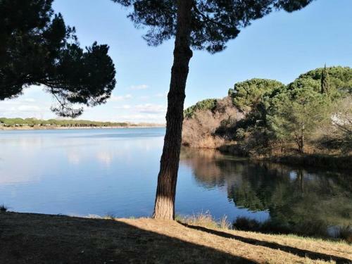 Apartamento R�sidence Les Rives Du Corail - Studio Pour 5 Personnes 454
