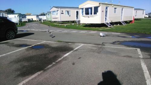 Apartamento Willow Seagull Sands
