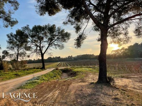 Villa Oasis Boh�me Face � Porquerolles