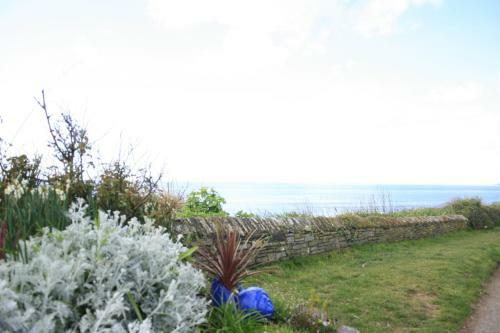 Trewebster