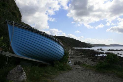 Trewebster