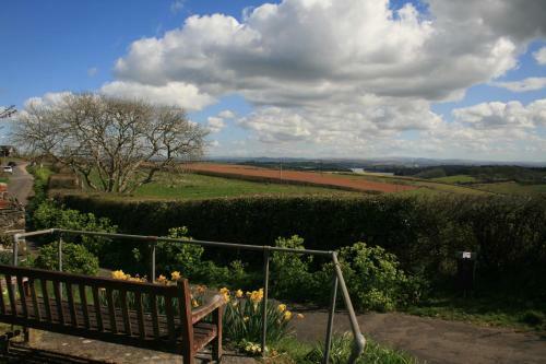 Trewebster