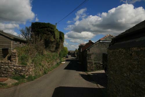 Trewebster