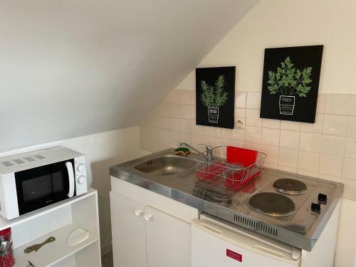 Apartamento Le Cocon - Studio En Plein Centre Historique