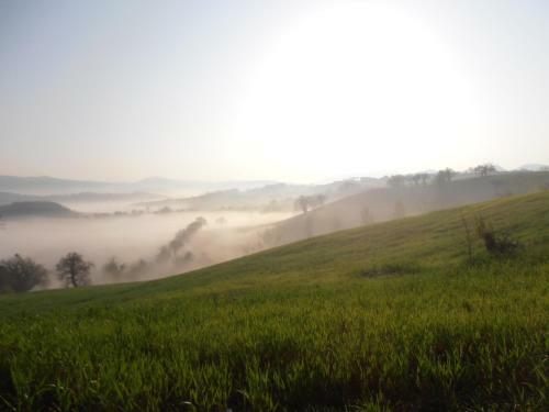 Agroturismo La Colticciola