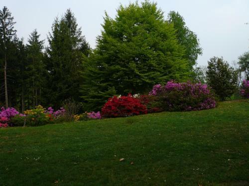 Bed & Breakfast Le Pinete