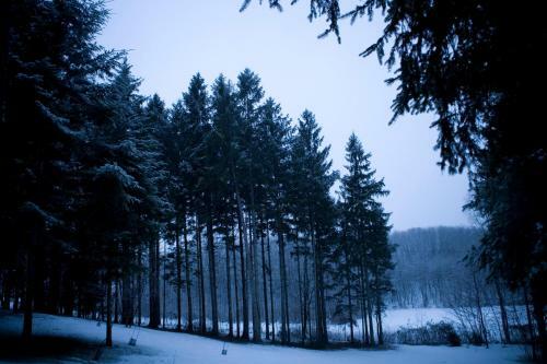 Bed & Breakfast Le Pinete