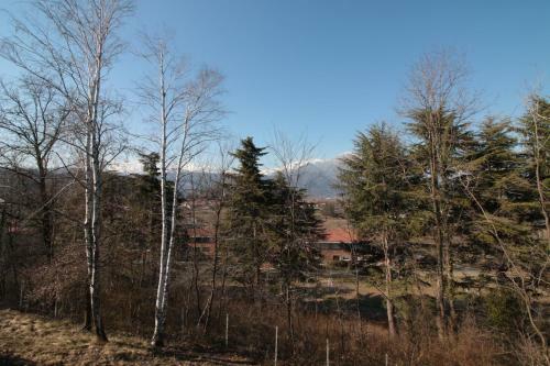 Bed & Breakfast Villa Silvia Olivetti