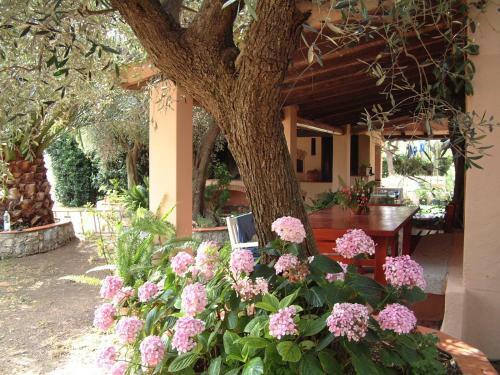 Apartamento Residenza La Limonaia