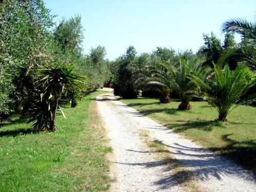 Apartamento Residenza La Limonaia