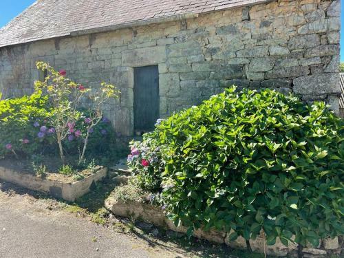 G�te De Charact�re, Proche Quimper
