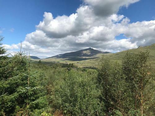 Snowdonia Forest Retreat