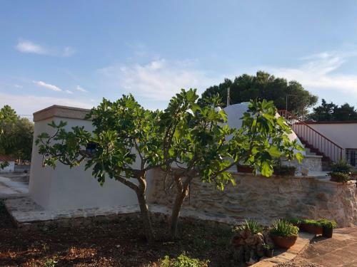 Hostal Trullo Bonaventura