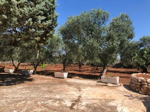 Hostal Trullo Bonaventura