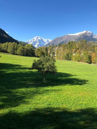 Apartamento Trilocale Le Cascatelle
