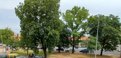 Apartamento Luminosissimo Appartamento Viareggio Centro