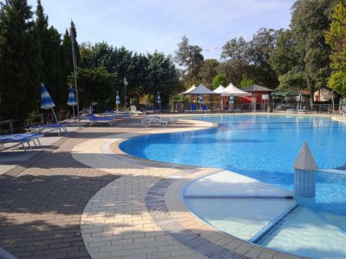 Mobile Home Viareggio - Camping Paradiso - R008