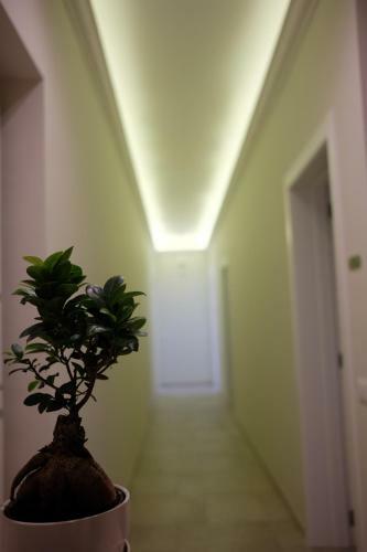 I Cavalieri B&B