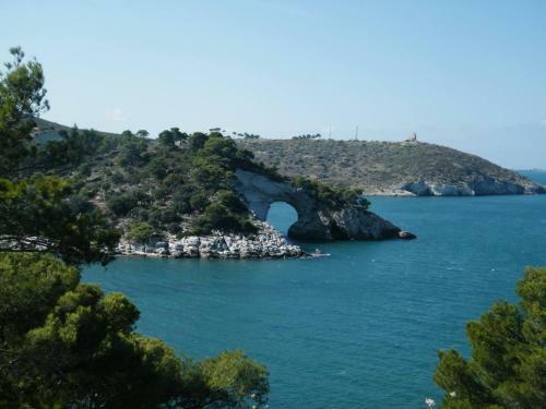 Holidays In Vieste In Charming Villas - 2
