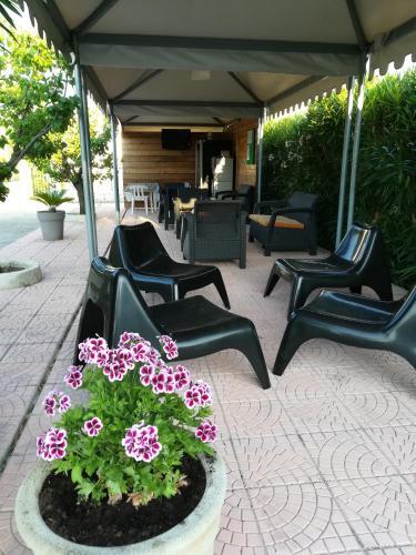 Holidays In Vieste In Charming Villas - 2
