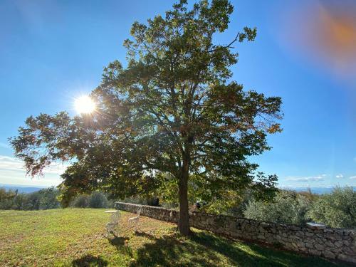 Apartamento Podere Cereo
