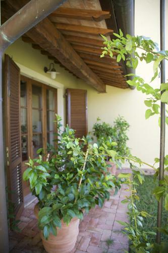 La Fonte Al Prete
